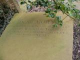 image of grave number 33342